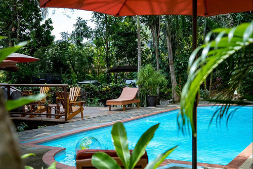 A swimming pool in a lush, tropical setting with lounge chairs and umbrellas.