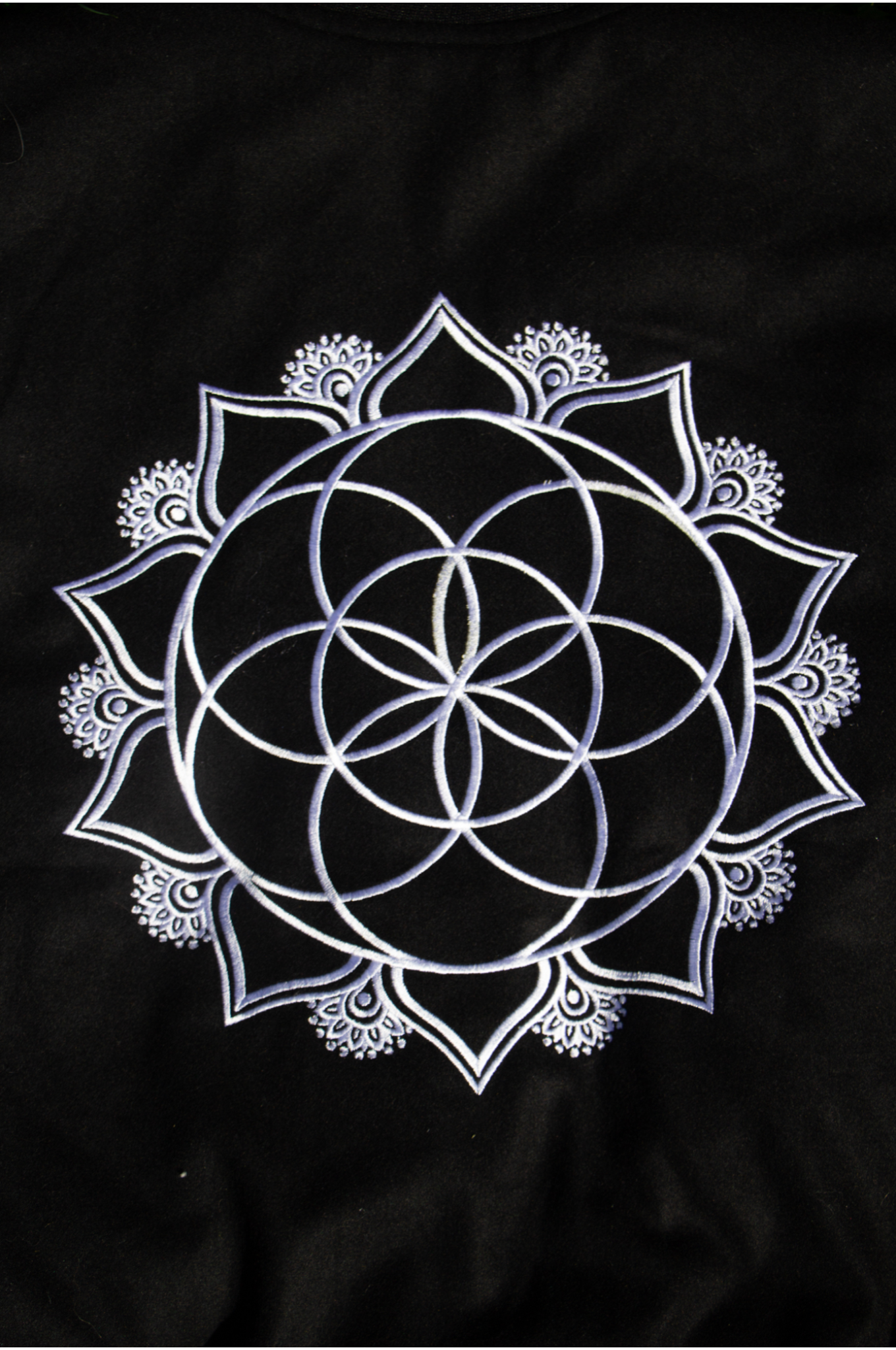 The Sacred Evolution Varsity Jacket