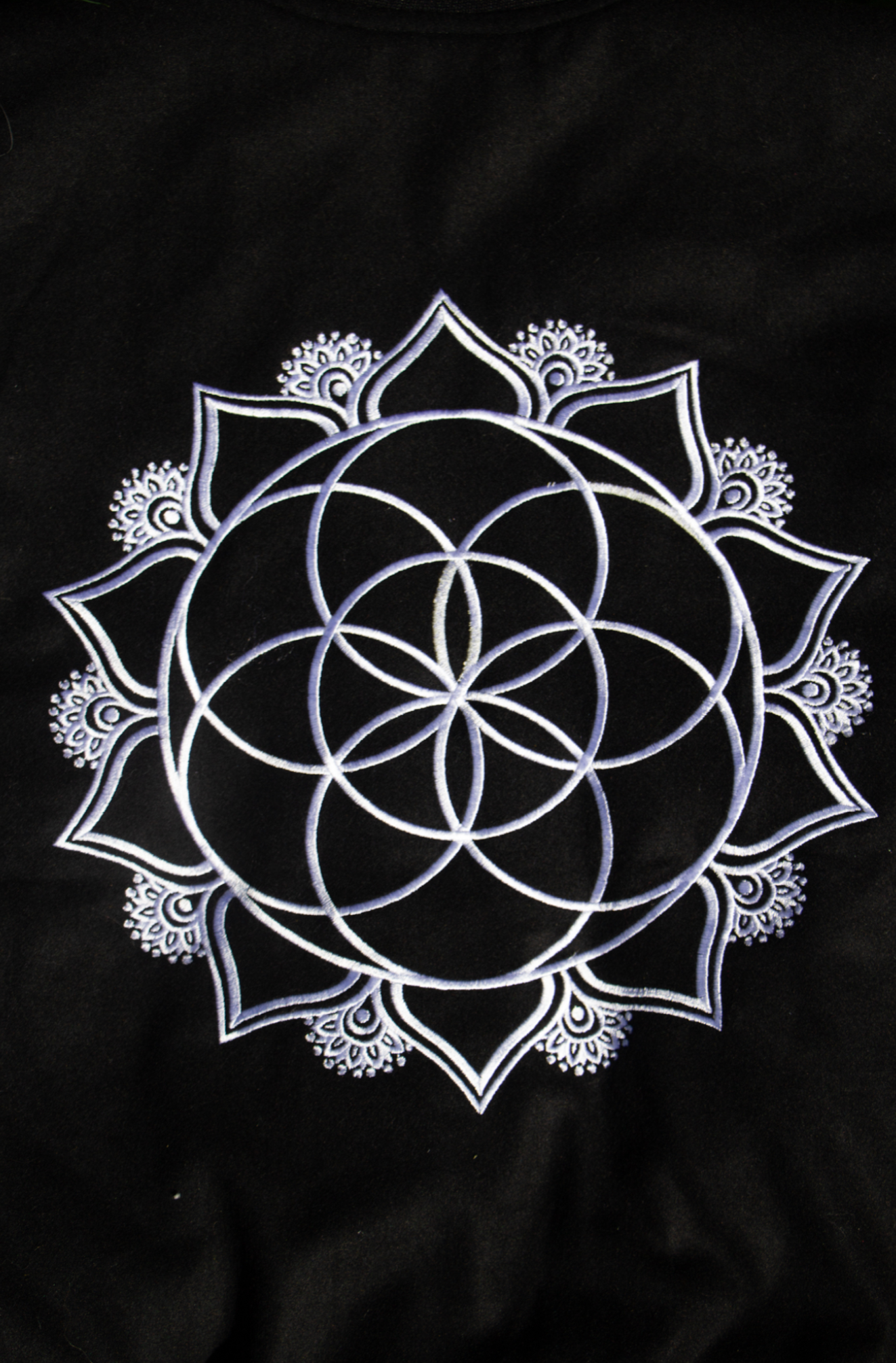 The Sacred Evolution Varsity Jacket