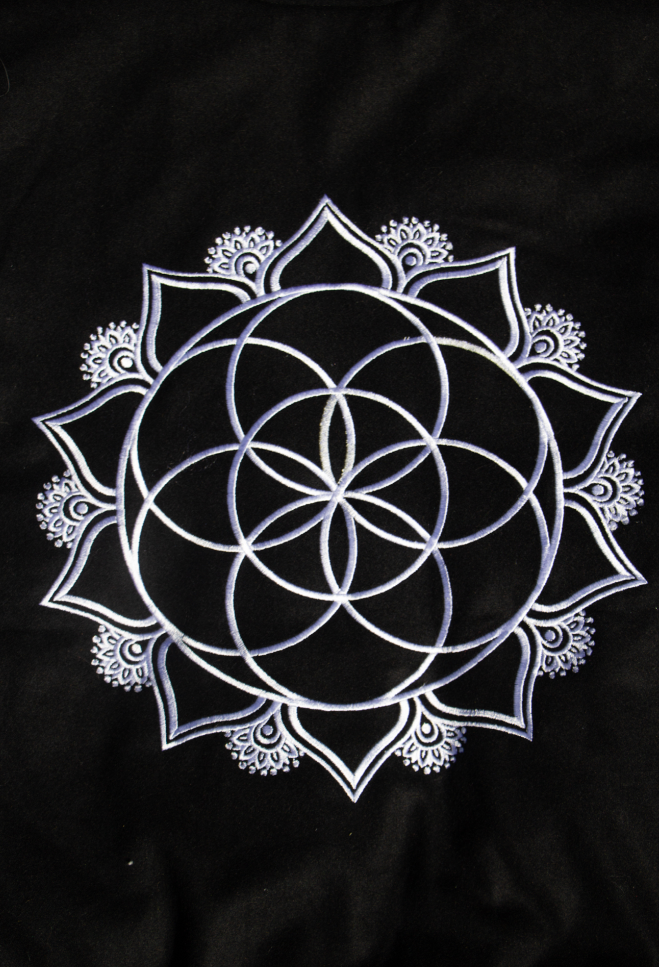 The Sacred Evolution Varsity Crop
