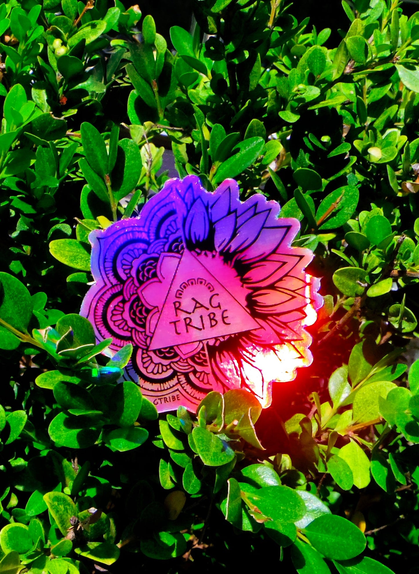 Sacred Sunflower Sticker