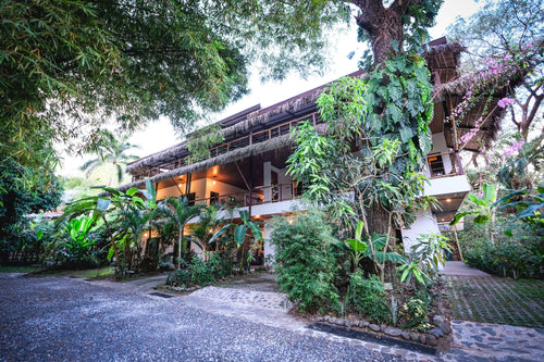 A multi-story building at a tropical retreat, surrounded by lush, green trees and foliage, with a stone-tiled path leading to the entrance.