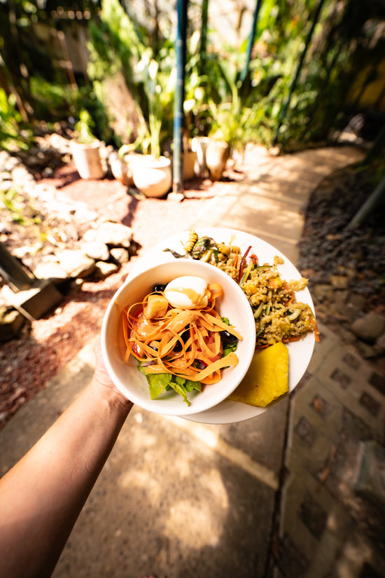 Sol y Luna Immersion : A Costa Rica Yoga Retreat