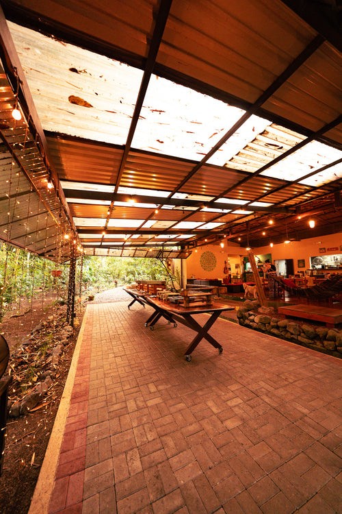 The Sol y Luna Immersion : A Costa Rica Yoga Retreat