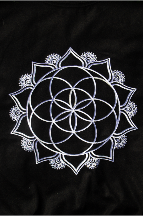 The Sacred Evolution Varsity Crop