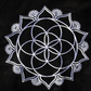 The Sacred Evolution Varsity Jacket