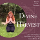 Divine Harvest Yoga Retreat